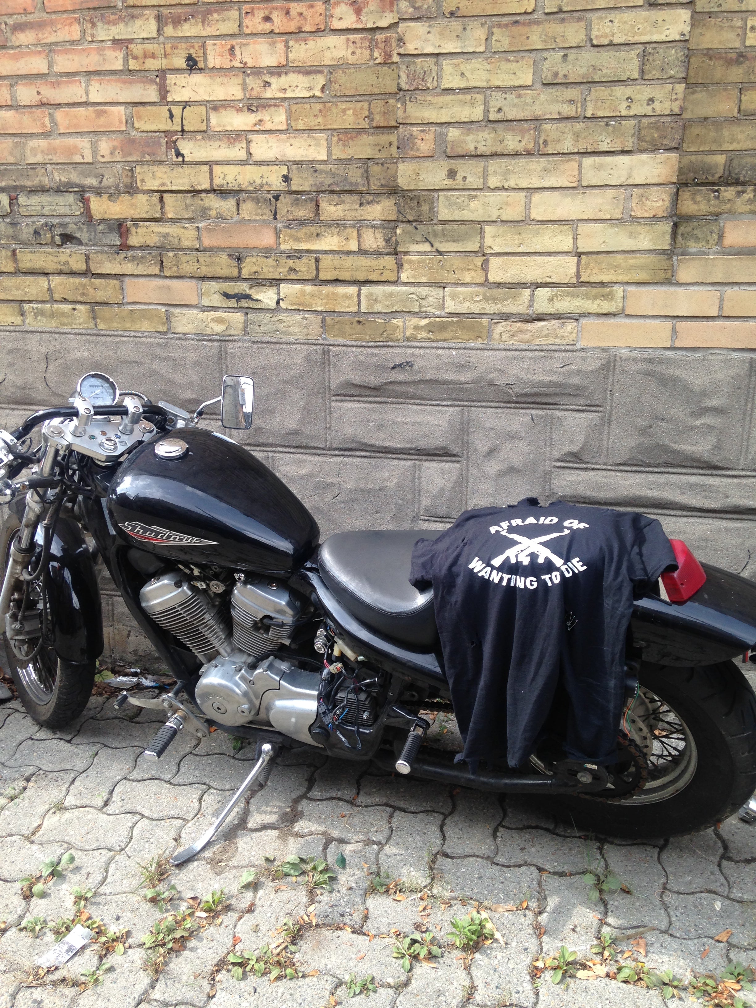 ‘AFRAID OF WANTING TO DIE’ THRASHED T